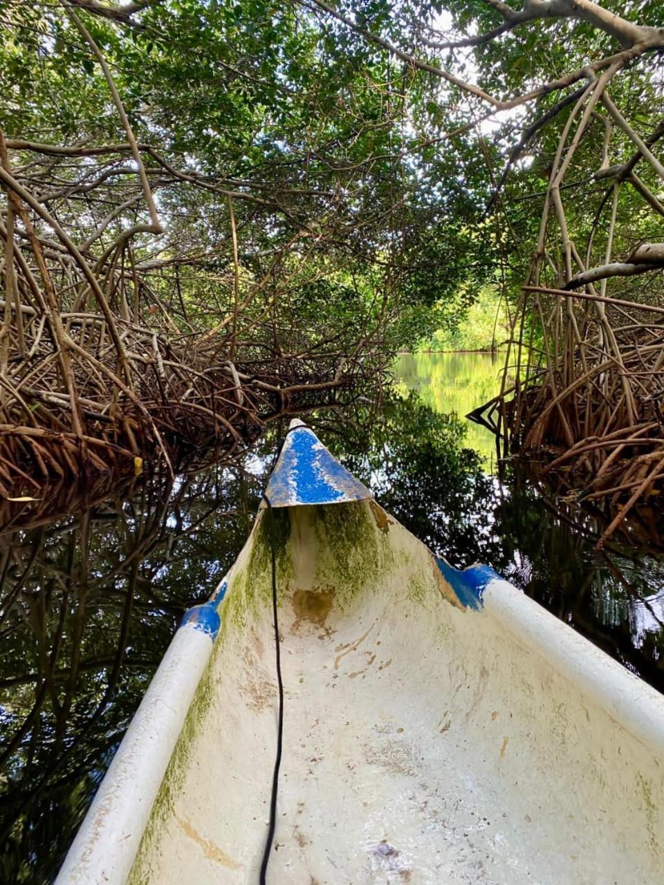 Eco Hotel Bosque Encantado Isla Grande  Kültér fotó